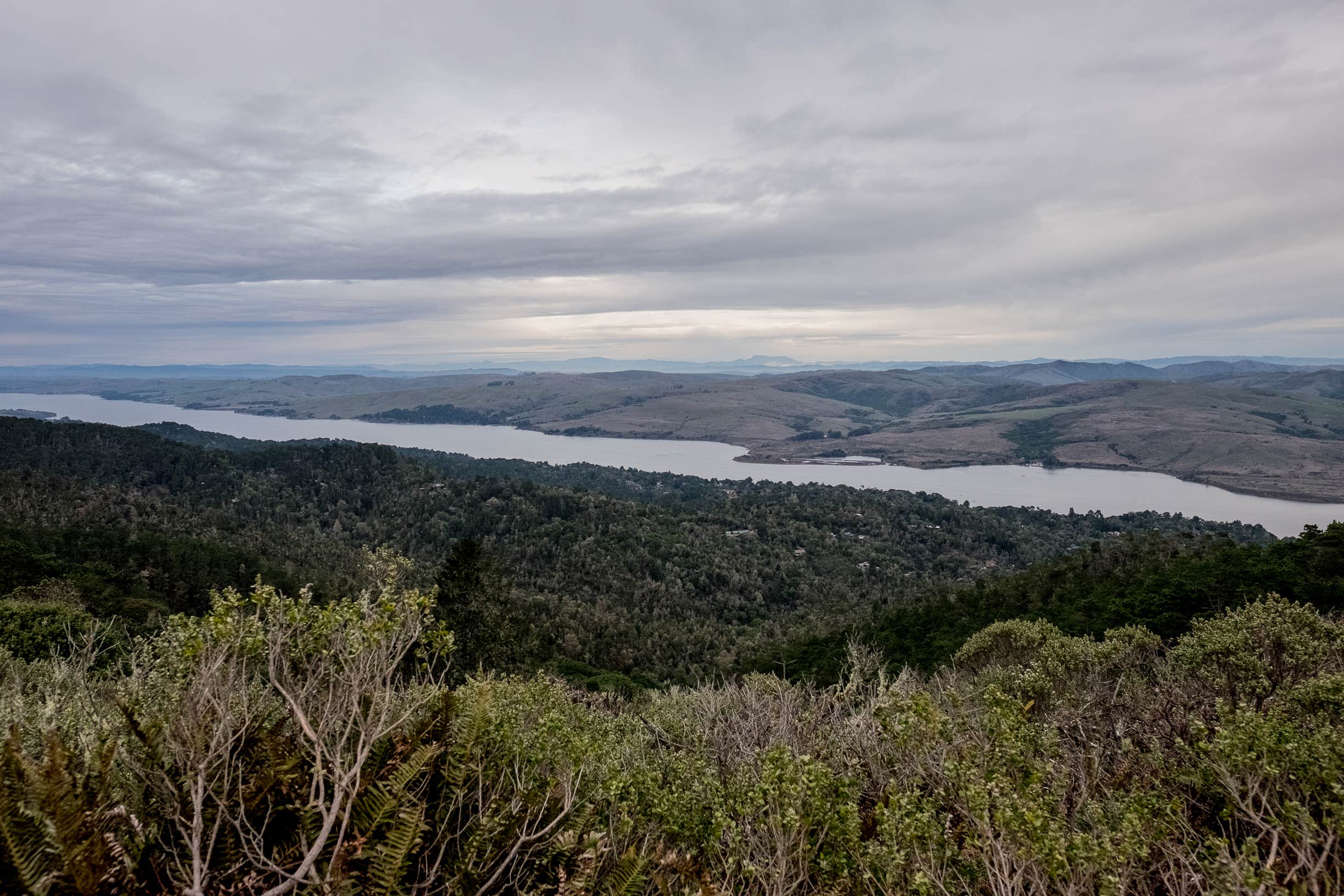 Mt Vision, great way to see the land from above.