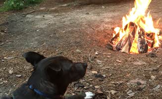 Alex S.'s photo of camping with pets at Red Oak Campgrounds near Baraboo, WI