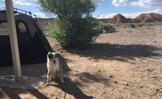 Stephen K.'s photo of camping with pets at Cathedral Gorge State Park Campground near Hiko, NV