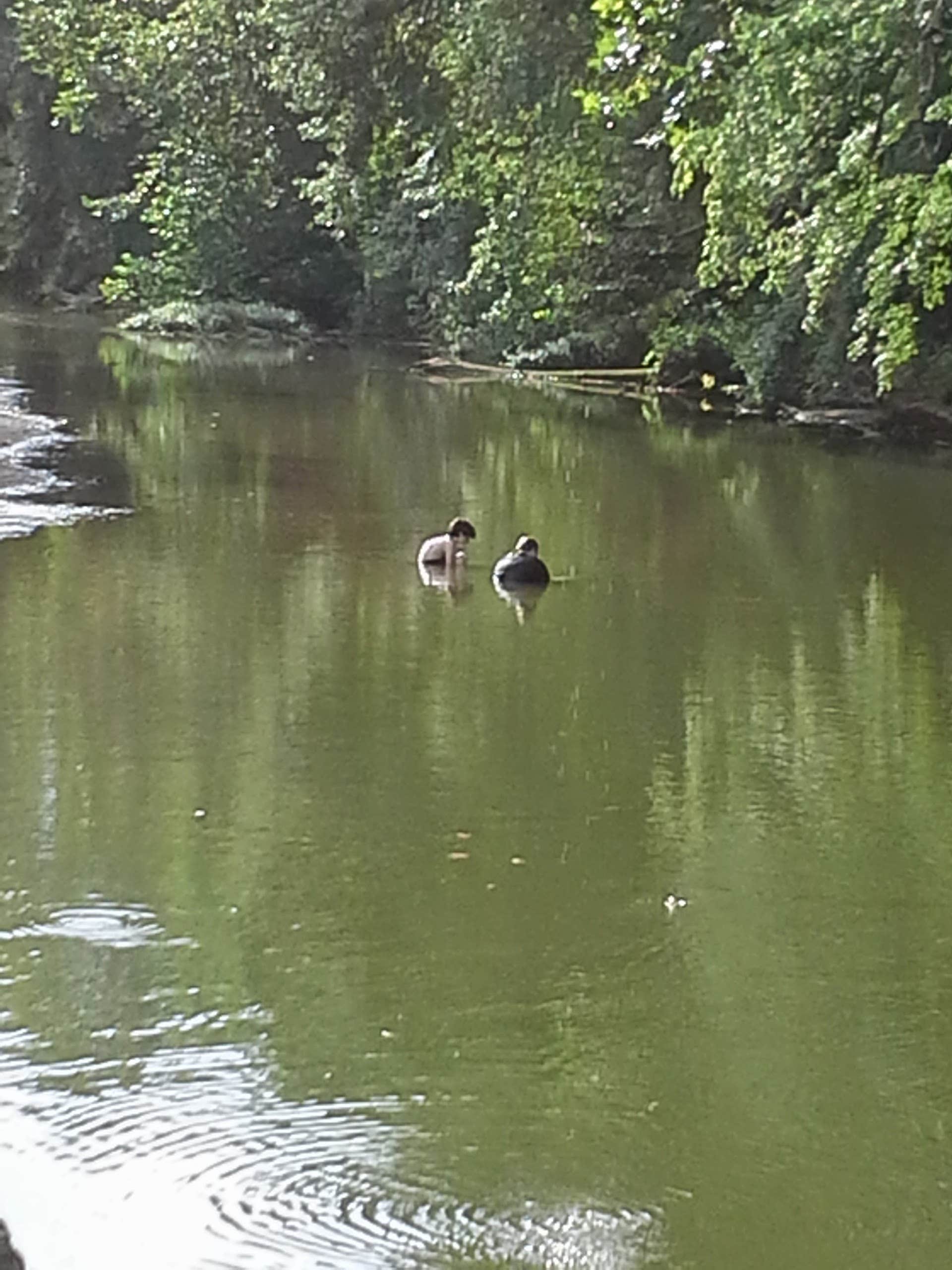 Camper-submitted photo at Cherokee Landing near Imperial, MO