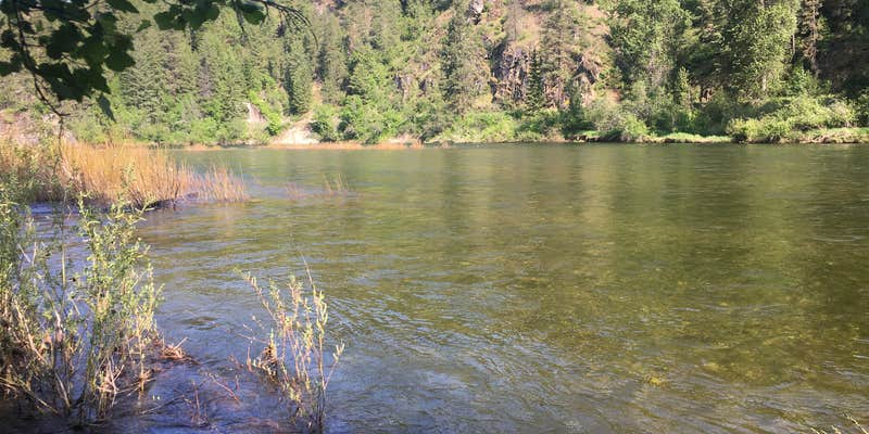 Camper submitted image from Honeysuckle Campground — Idaho Panhandle National Forests
