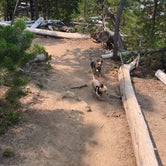 Review photo of Lava Lake Campground by Jaws G., June 20, 2019