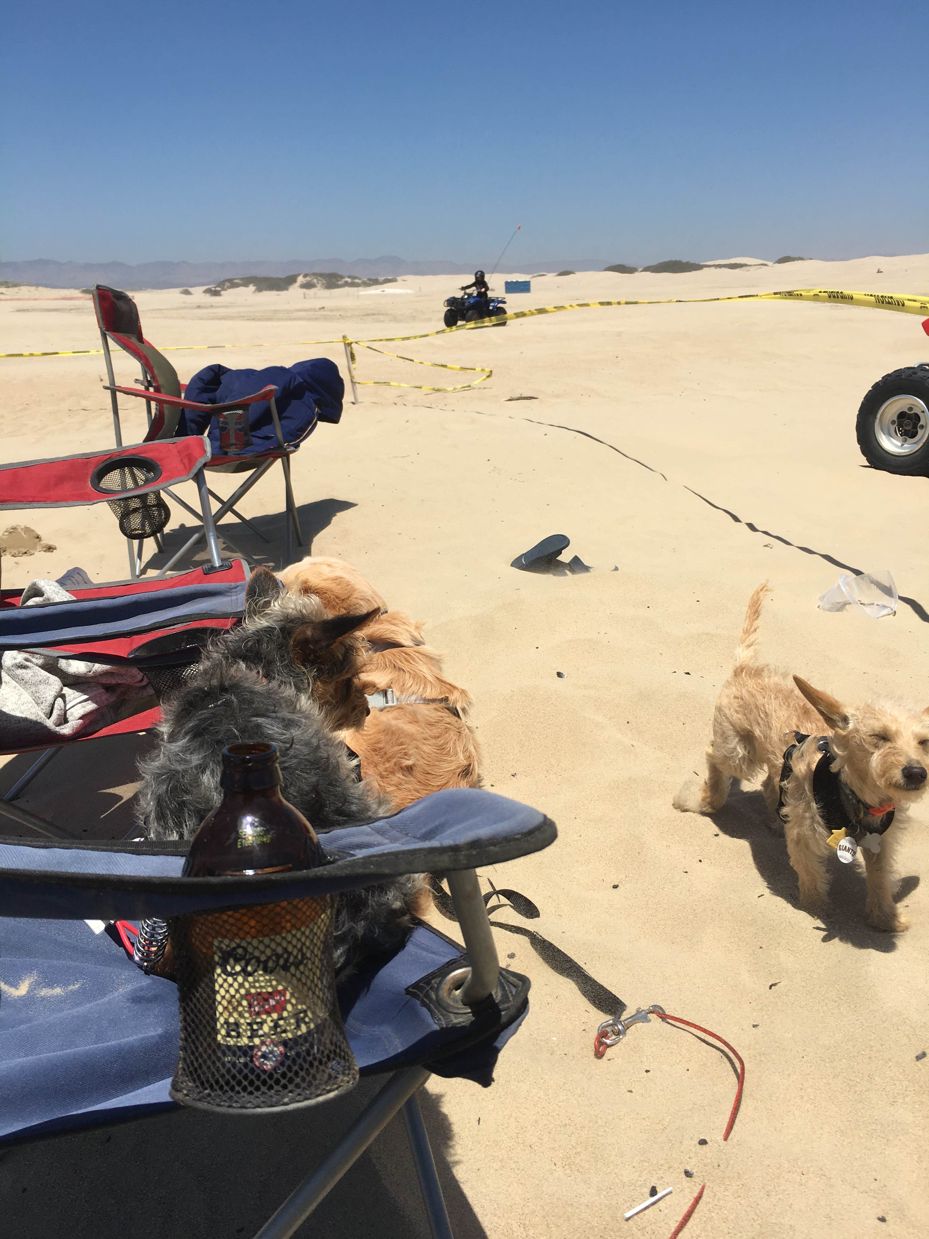 Jaws G.'s photo of camping with pets at Oceano Campground — Pismo State Beach in California