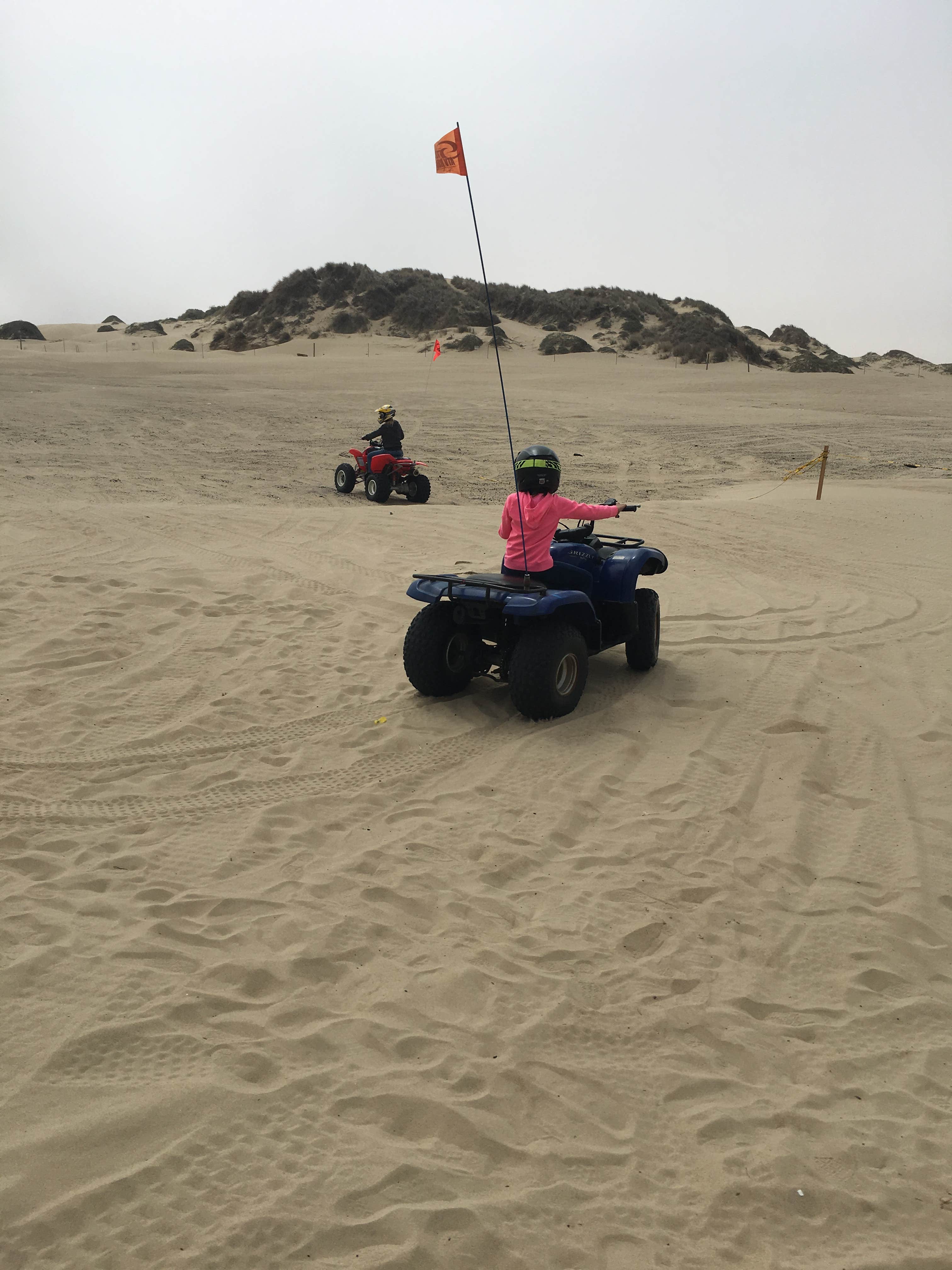 Camper-submitted photo at Oceano Campground — Pismo State Beach near Santa Maria, CA