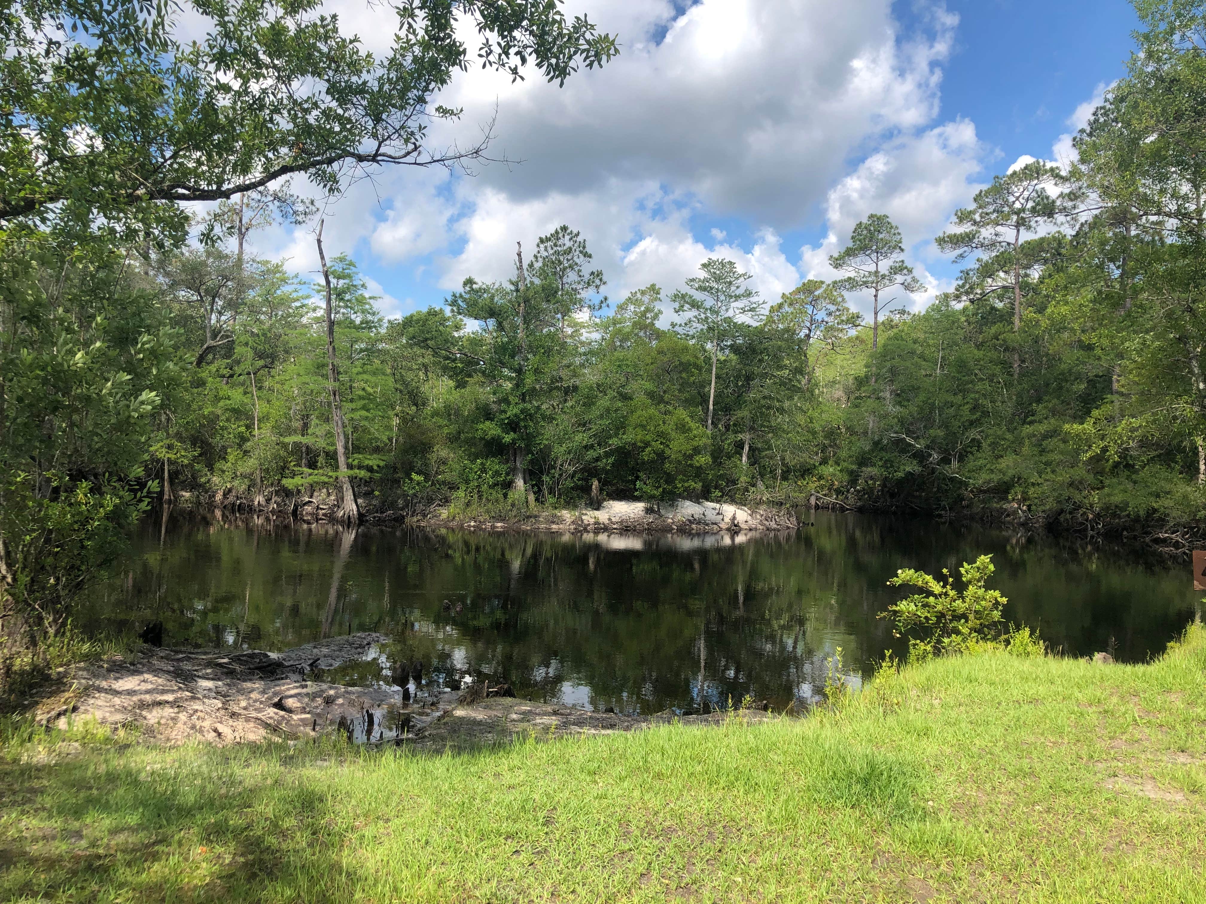 Camper-submitted photo at Sand Pond Campground — Pine Log State Forest near Mexico Beach, FL