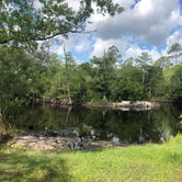 Review photo of Sand Pond Campground - Pine Log State Forest by Angeline S., June 20, 2019