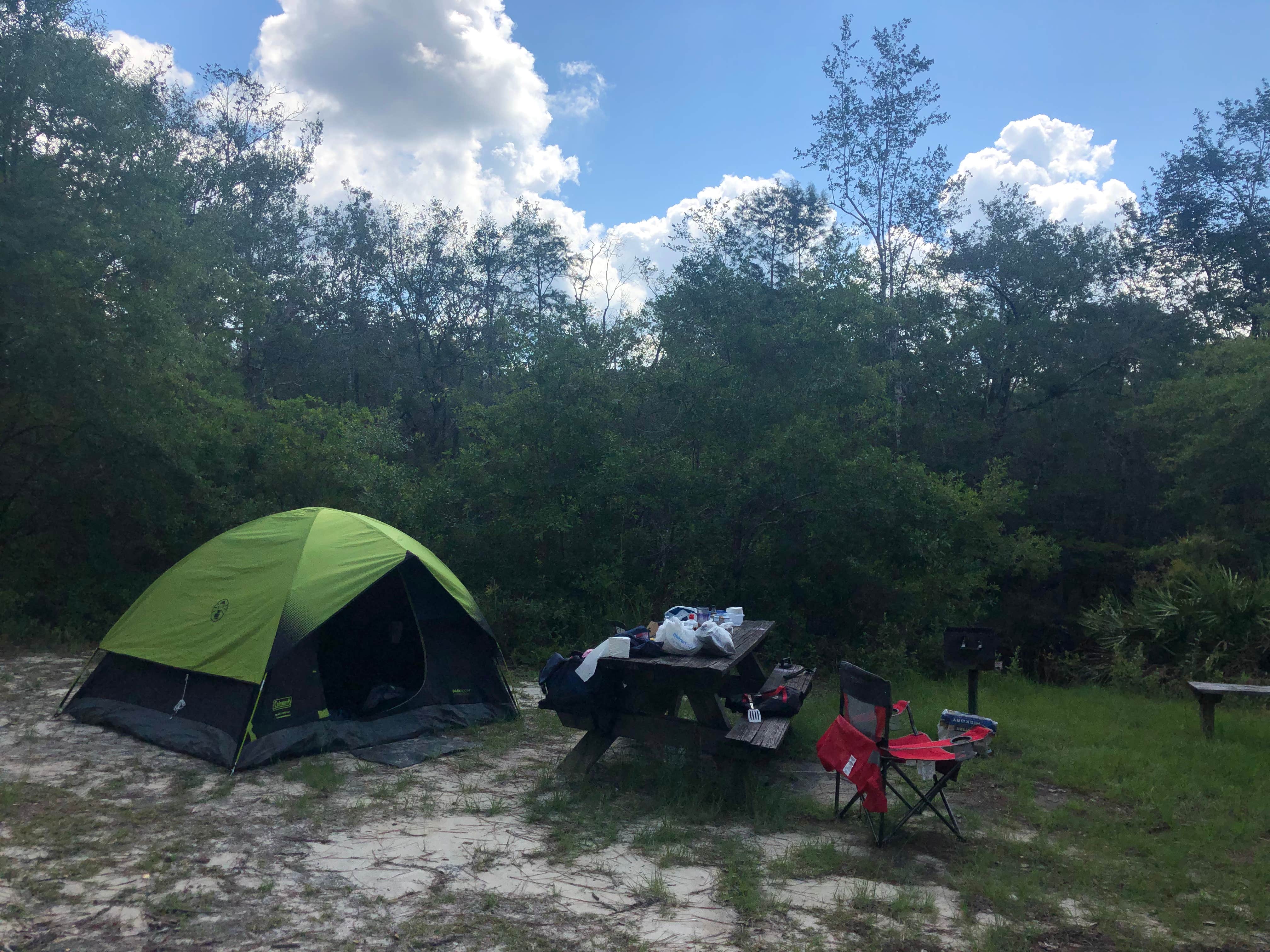 Camper submitted image from Sand Pond Campground - Pine Log State Forest - 4