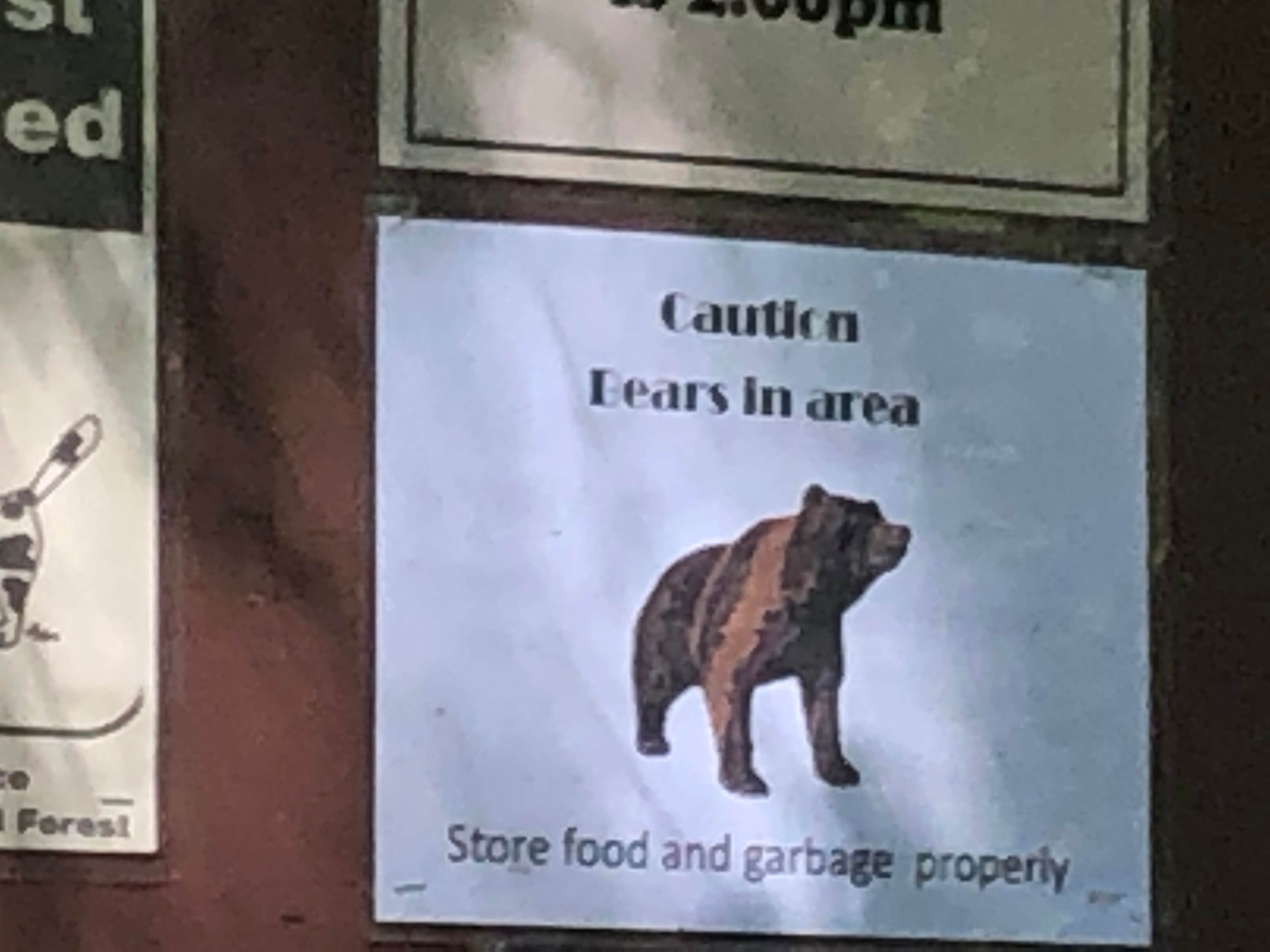 Stephanie Z.'s photo of camping with pets at Paradise Creek Campground near Gifford Pinchot National Forest