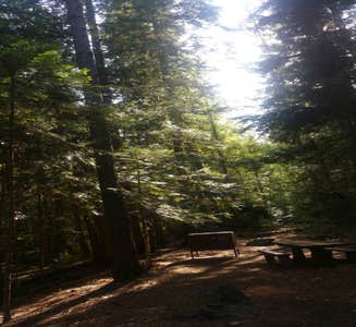 Camper-submitted photo from The Hemlocks RV and Lodging