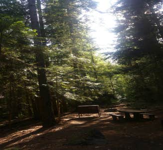Camper-submitted photo from The Hemlocks RV and Lodging