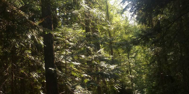 Camper submitted image from Crescent Lake Campground