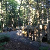 Review photo of Blackwoods Campground — Acadia National Park by מלאכי א., June 20, 2019