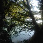 Review photo of Rasar State Park Campground by Bjorn S., August 22, 2015