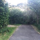 Review photo of Devil’s Lake State Recreation Area Campground by Kayko S., September 1, 2016