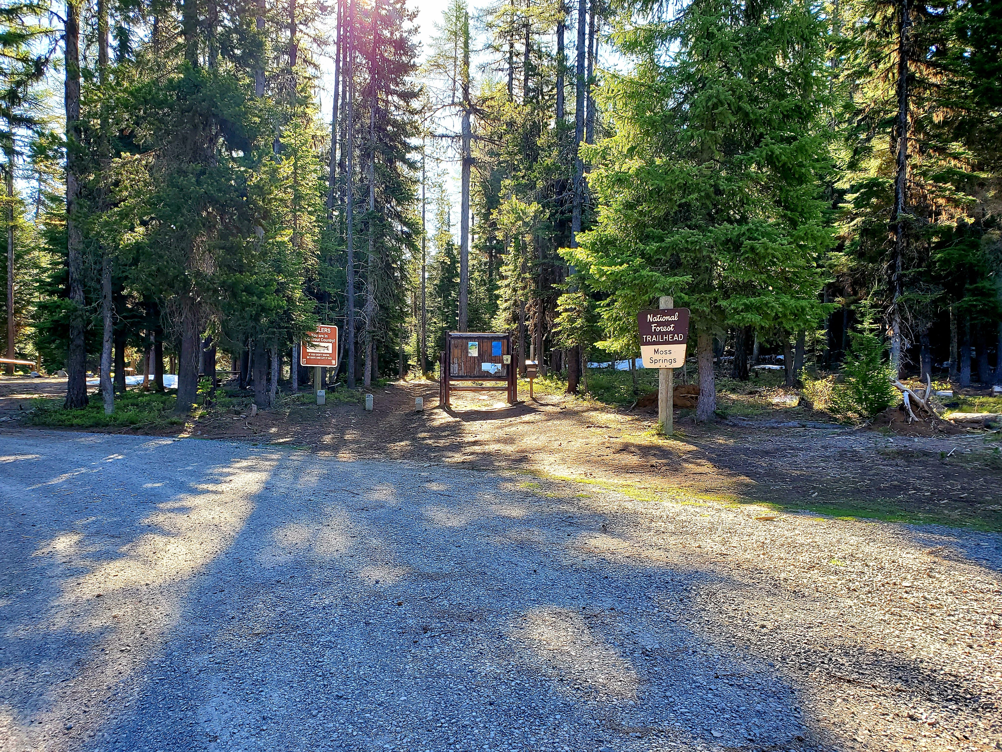Camper submitted image from Moss Springs Campground - 5