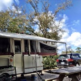 Review photo of Rainbow Springs State Park Campground by David G., June 21, 2019