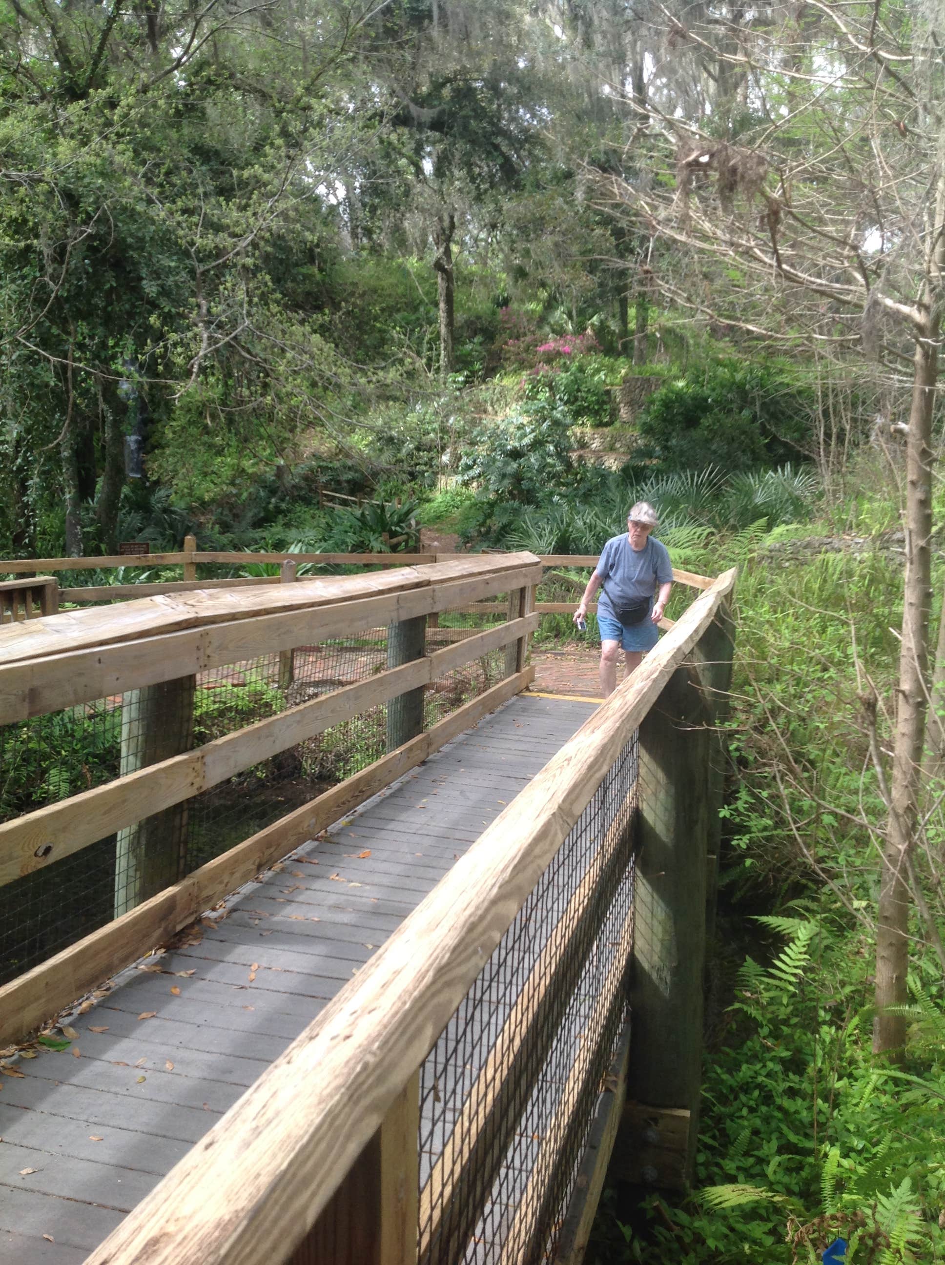 Camper submitted image from Rainbow Springs State Park Campground - 1