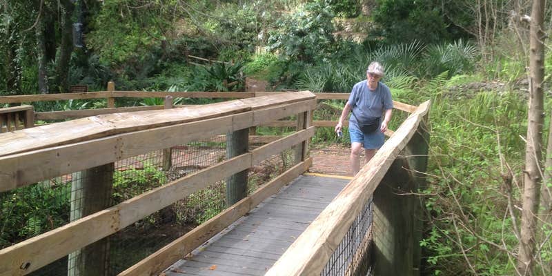 Camper submitted image from Rainbow Springs State Park Campground