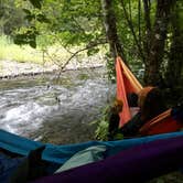 Review photo of Toketee Lake Campground — Umpqua National Forest by Stephanie Z., June 21, 2019