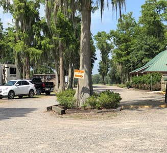 Camper-submitted photo from Cypress Lake RV Resort