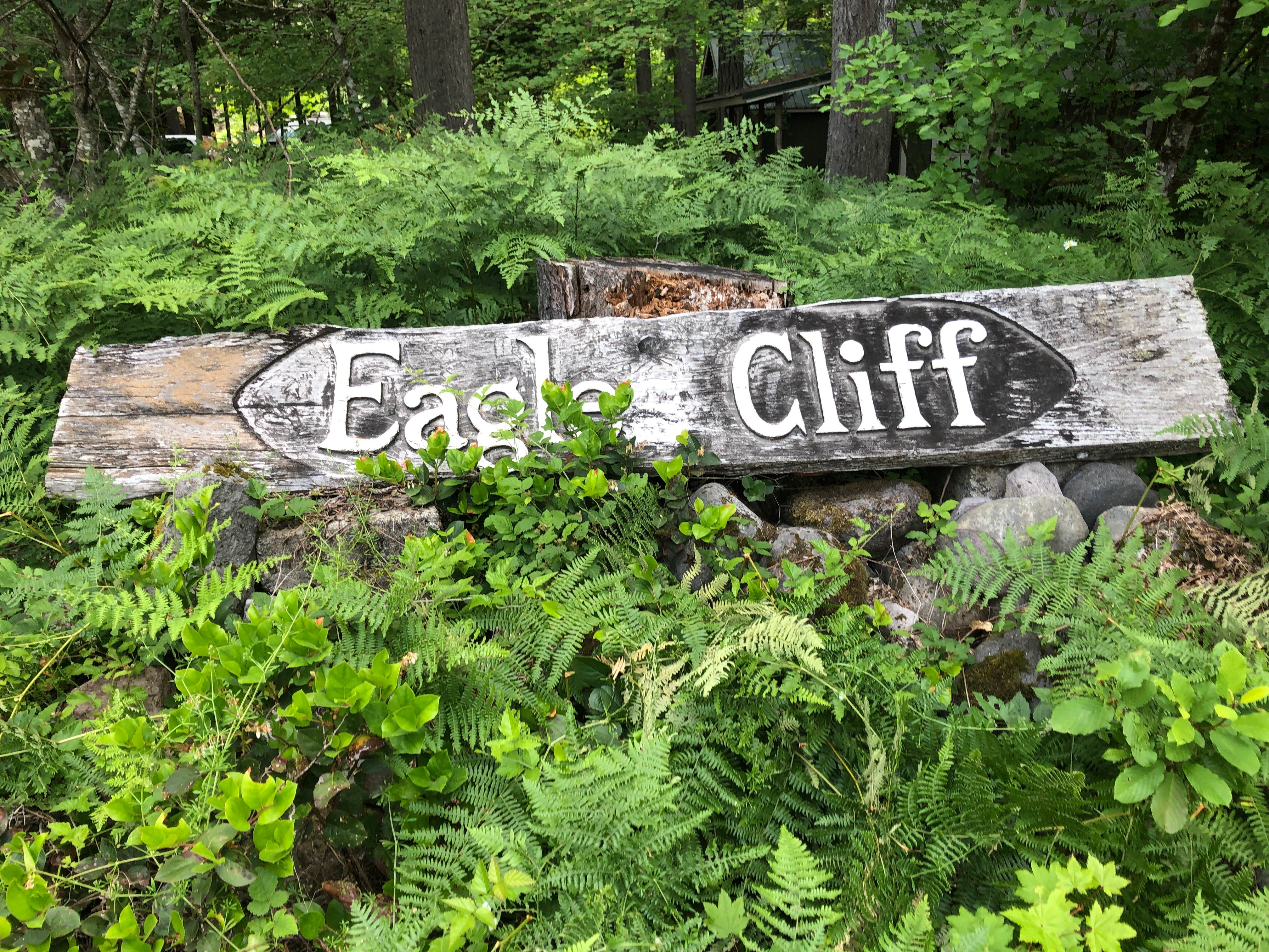 Camper submitted image from Eagle Cliff Campground - 4