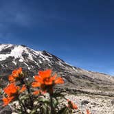 Review photo of Eagle Cliff Campground by Stephanie Z., June 21, 2019