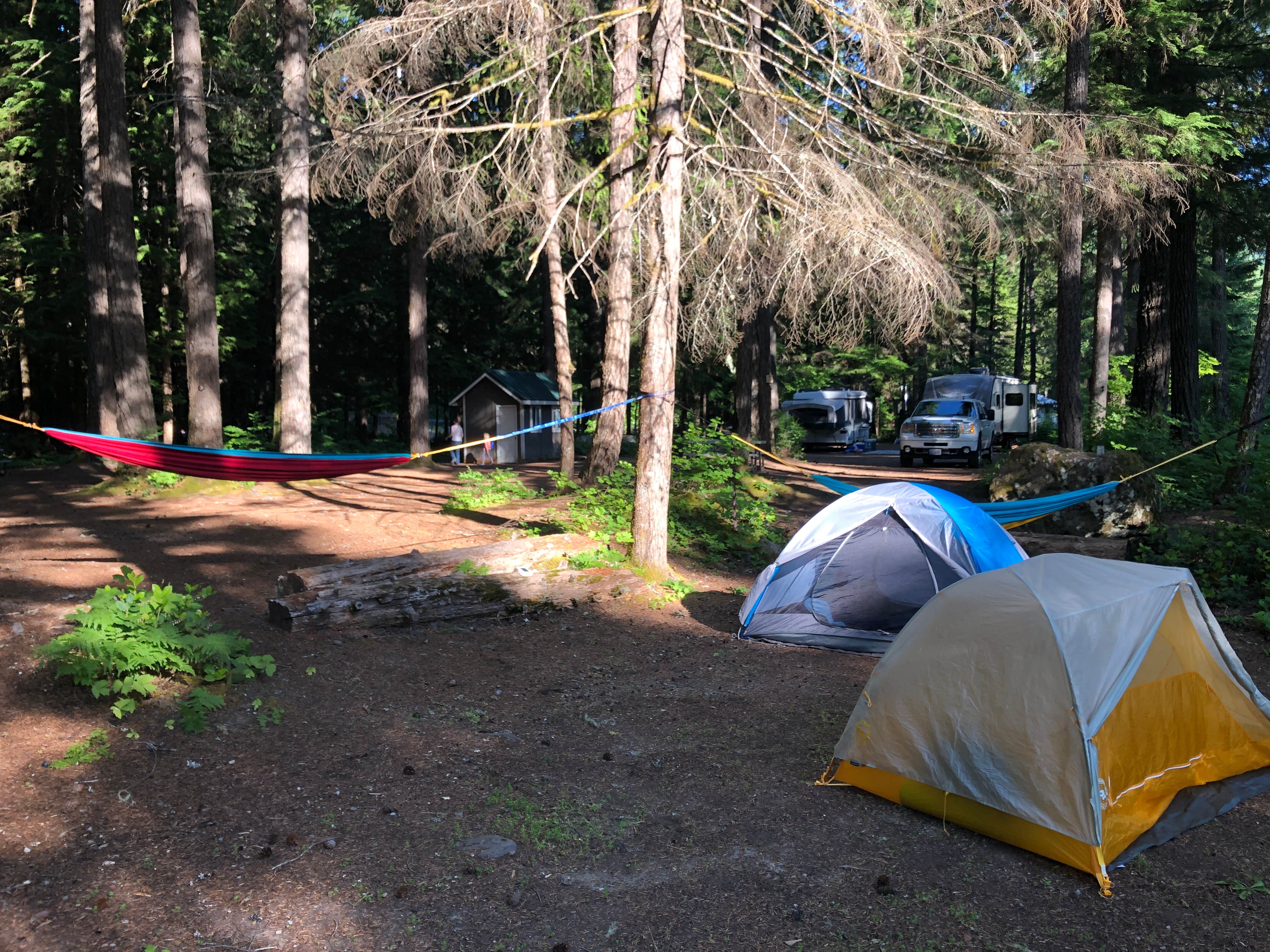 Stephanie Z.'s photo at Eagle Cliff Campground near Cougar, WA