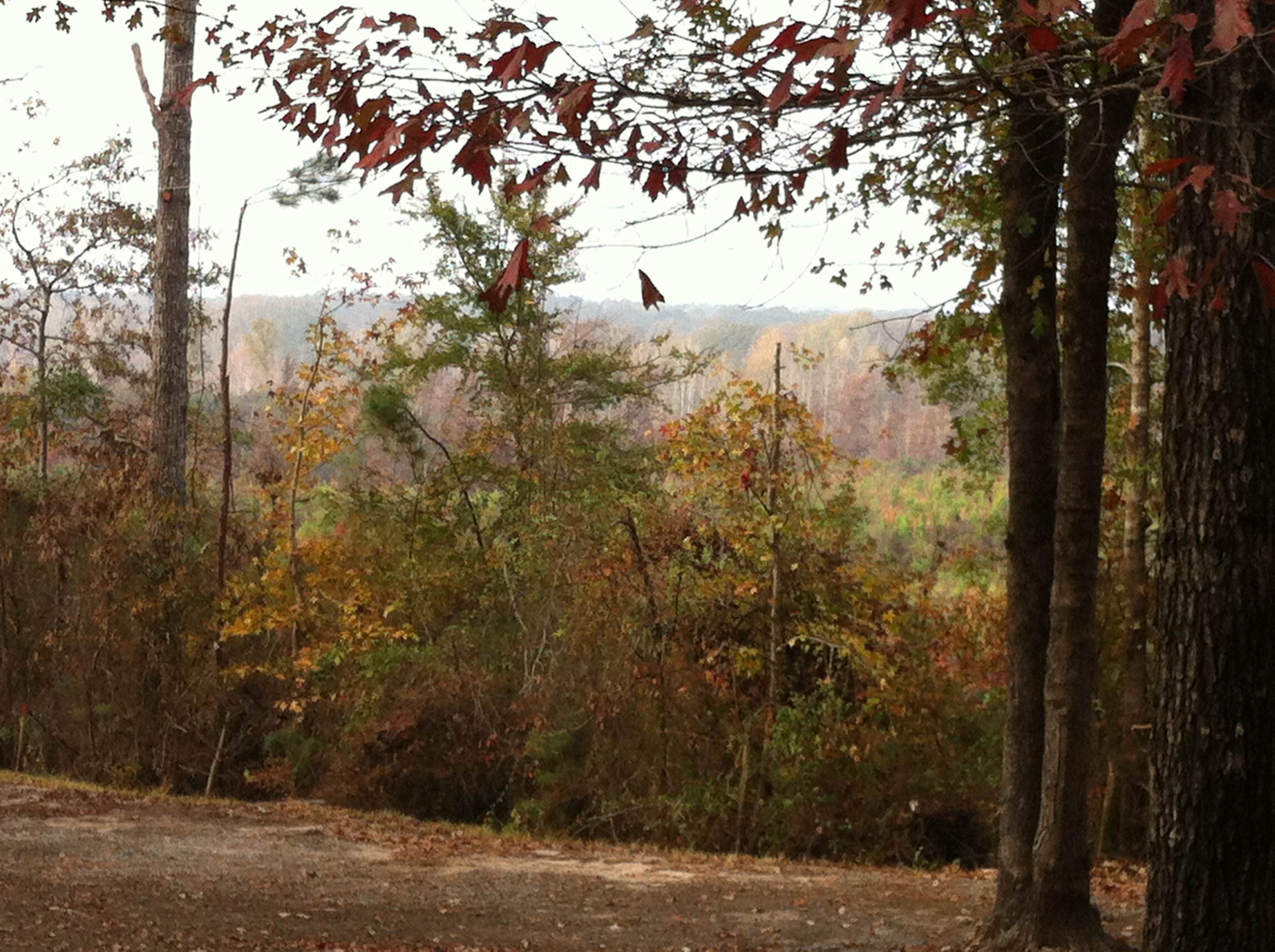 Camper-submitted photo at Magnolia Hill RV Park near Natchitoches, LA