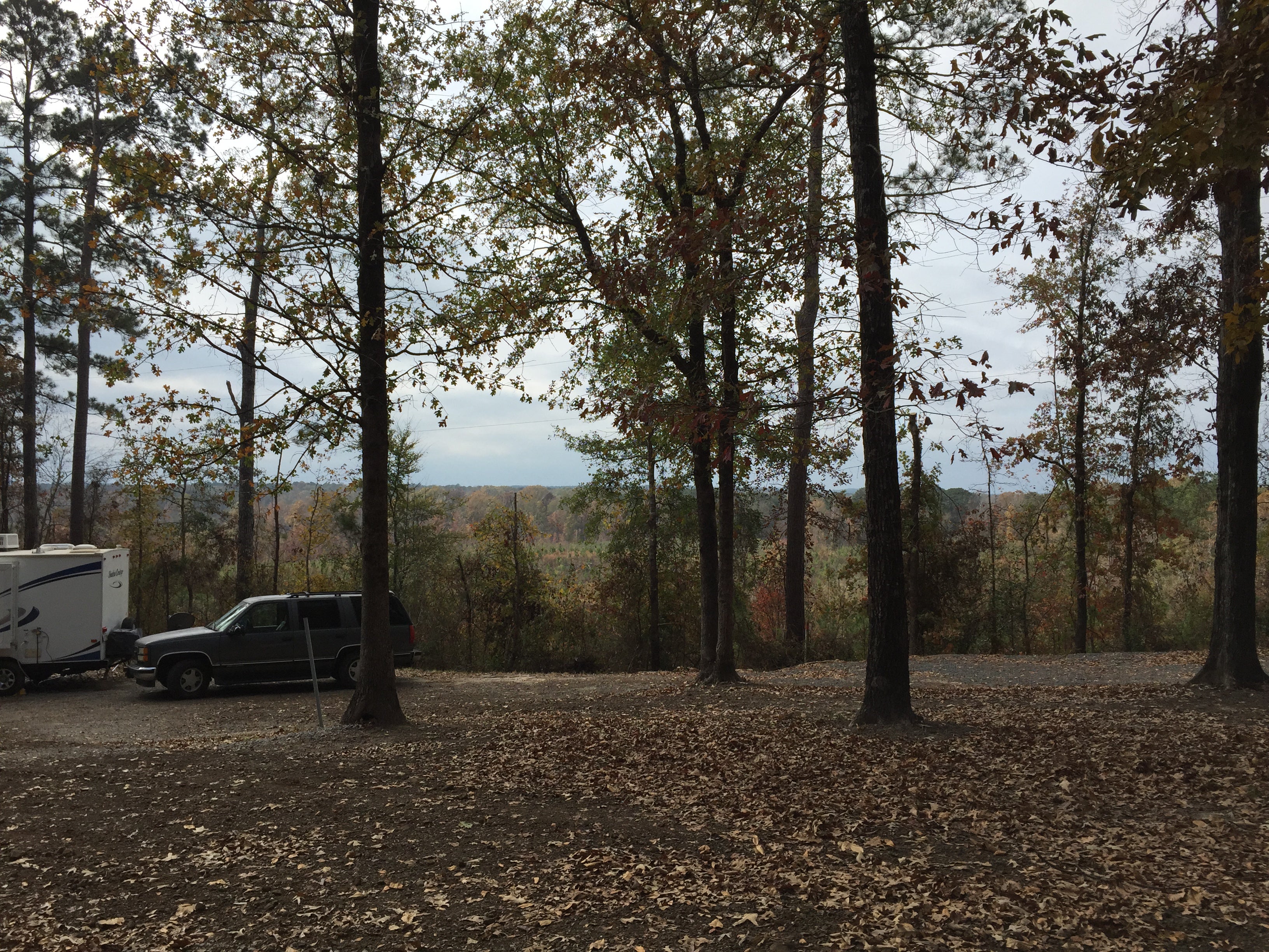 Camper submitted image from Magnolia Hill RV Park - 3