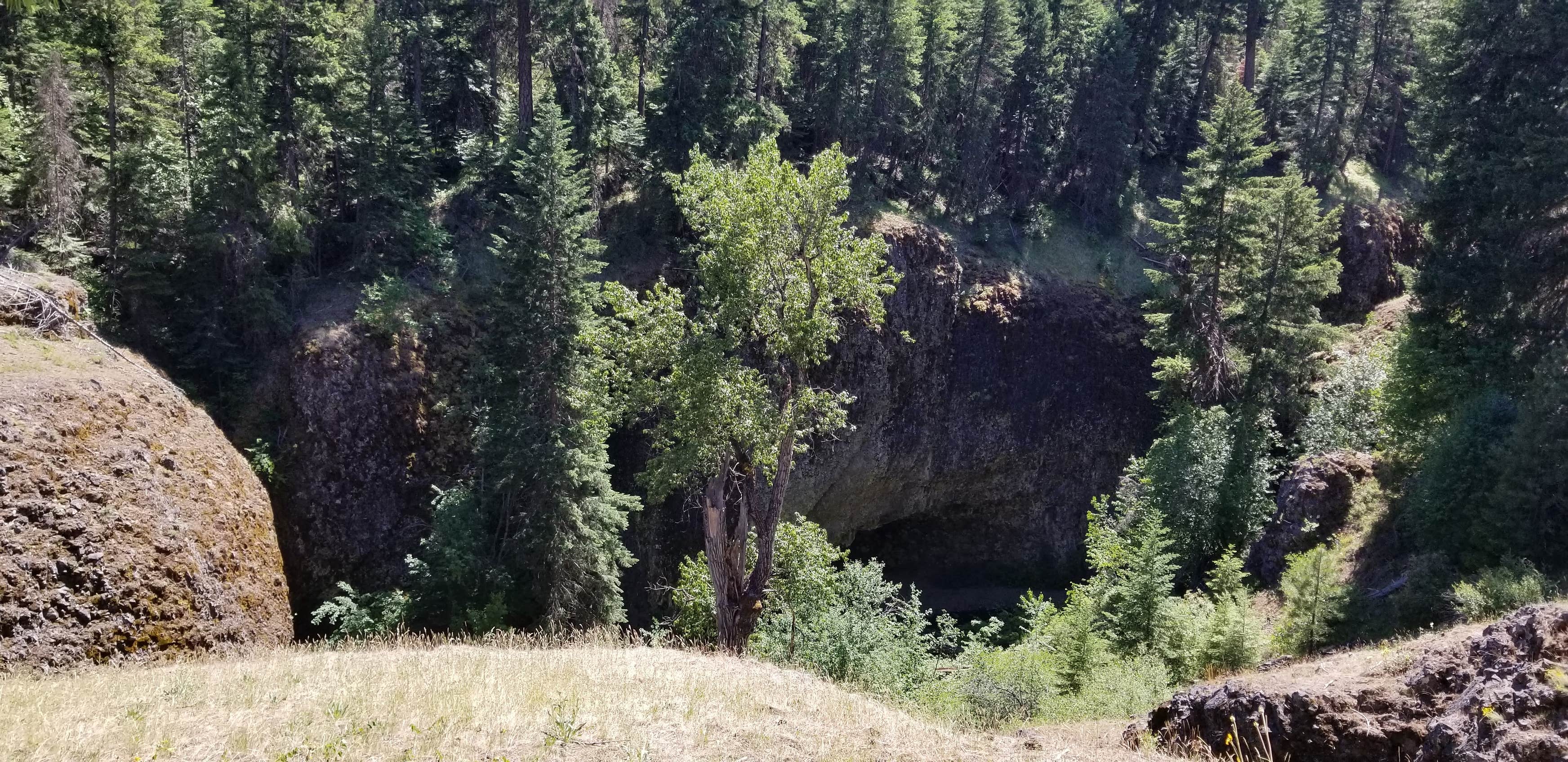 American Forks Campground Camping The Dyrt