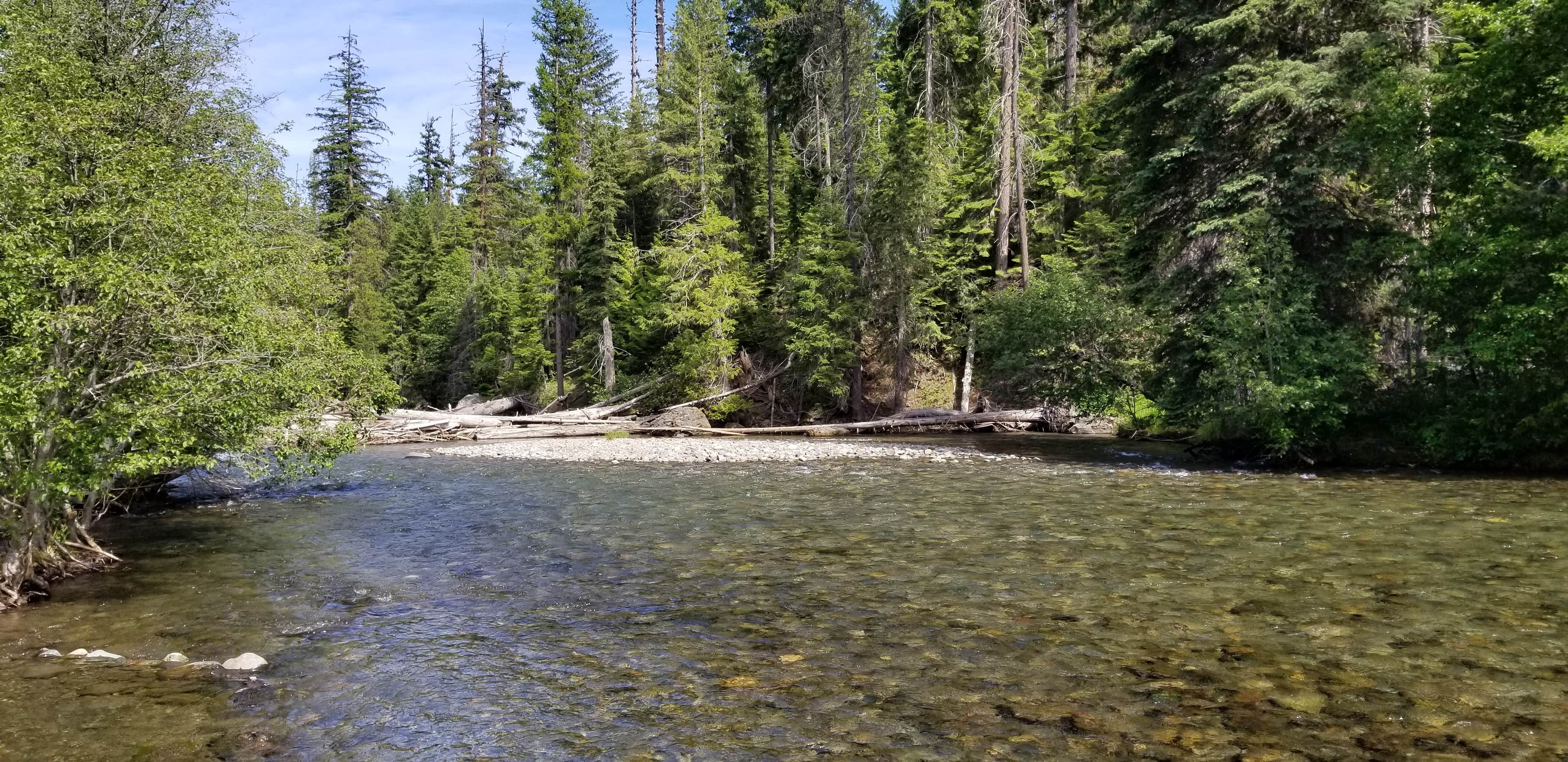 Camper submitted image from American Forks Campground - 4