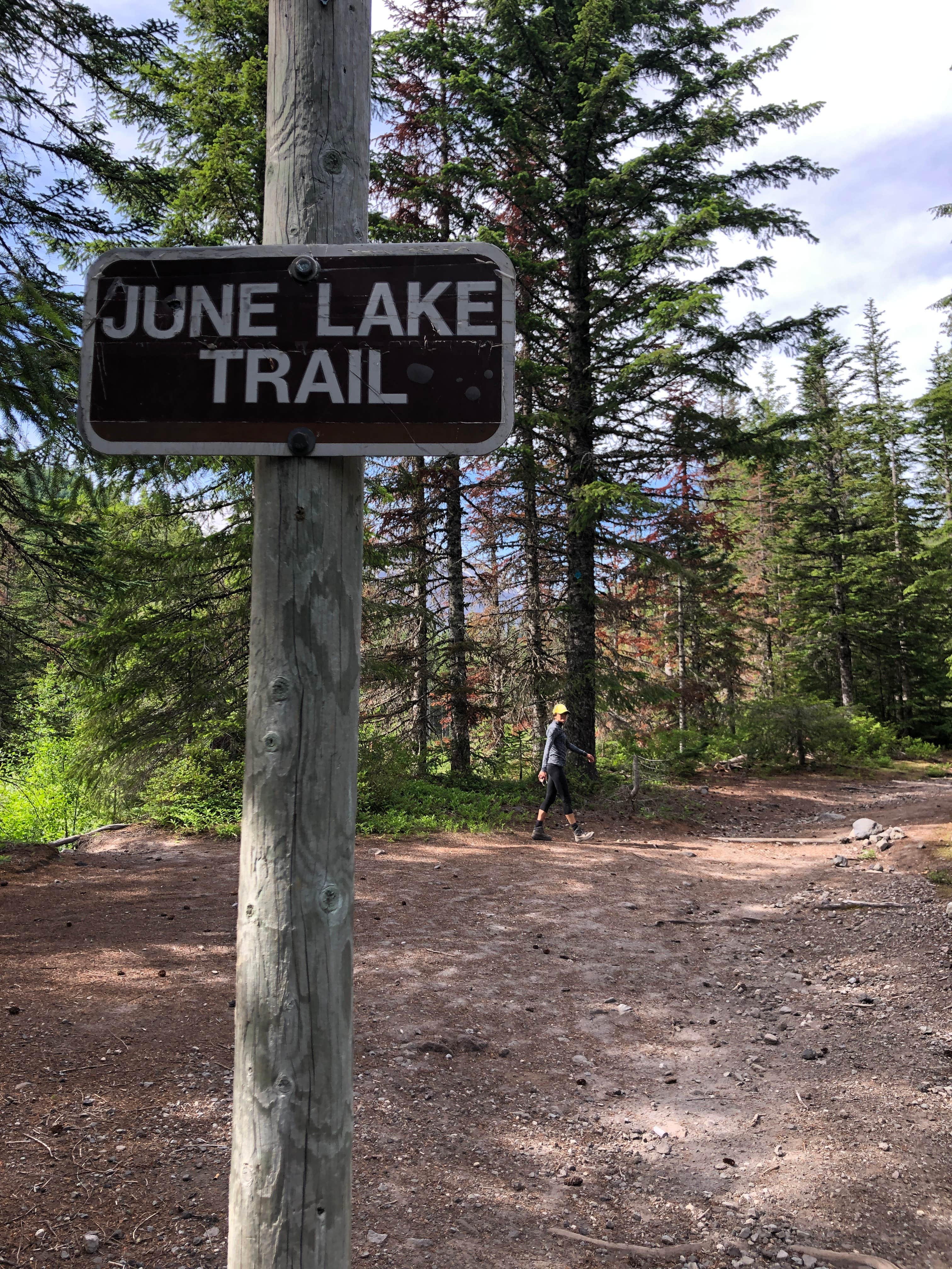 Camper submitted image from Pumice Butte- Dispersed Campsite - 2