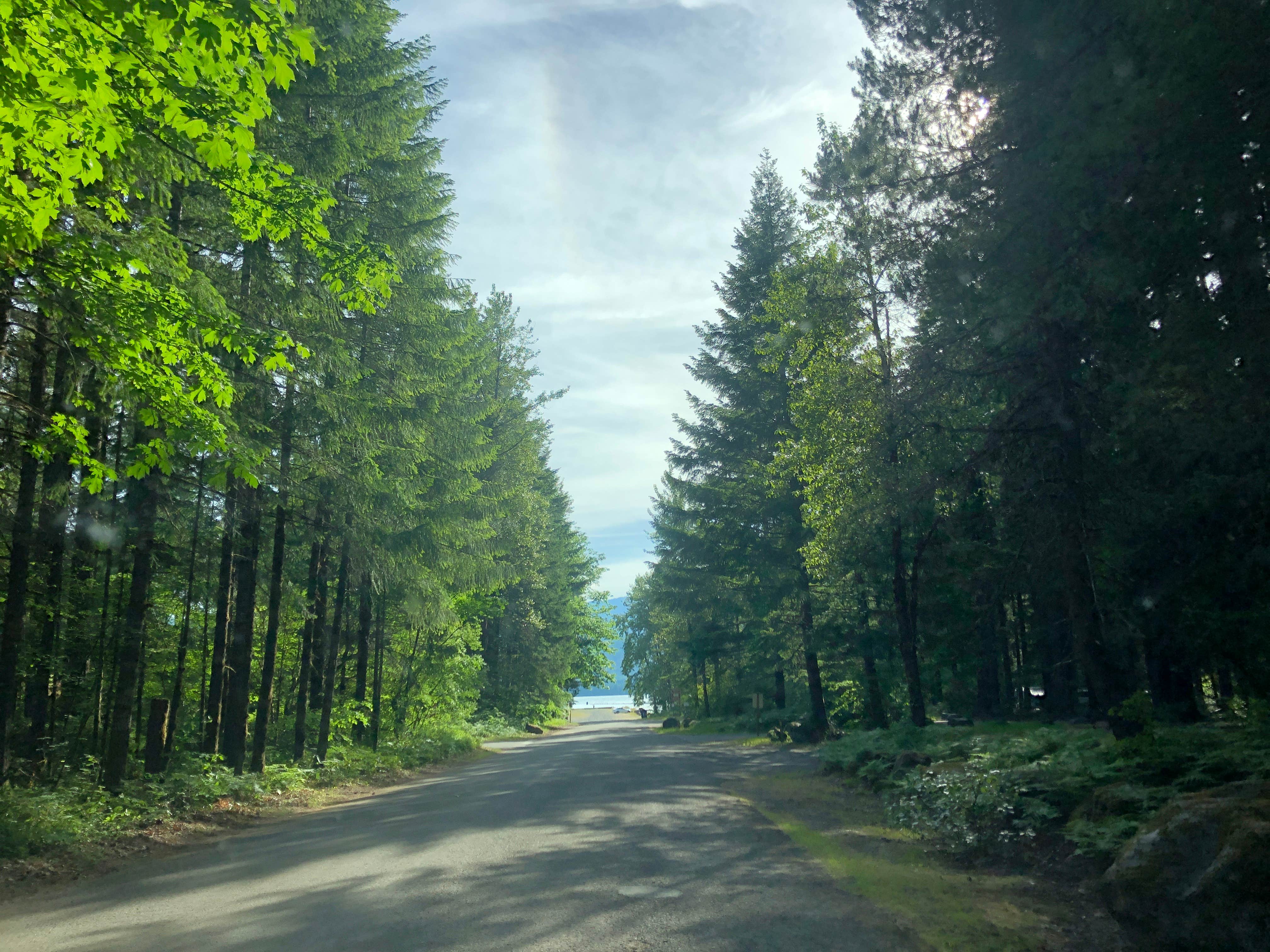 Camper-submitted photo at Swift Forest Camp near Cougar, WA