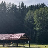 Review photo of Swift Forest Camp by Stephanie Z., June 21, 2019