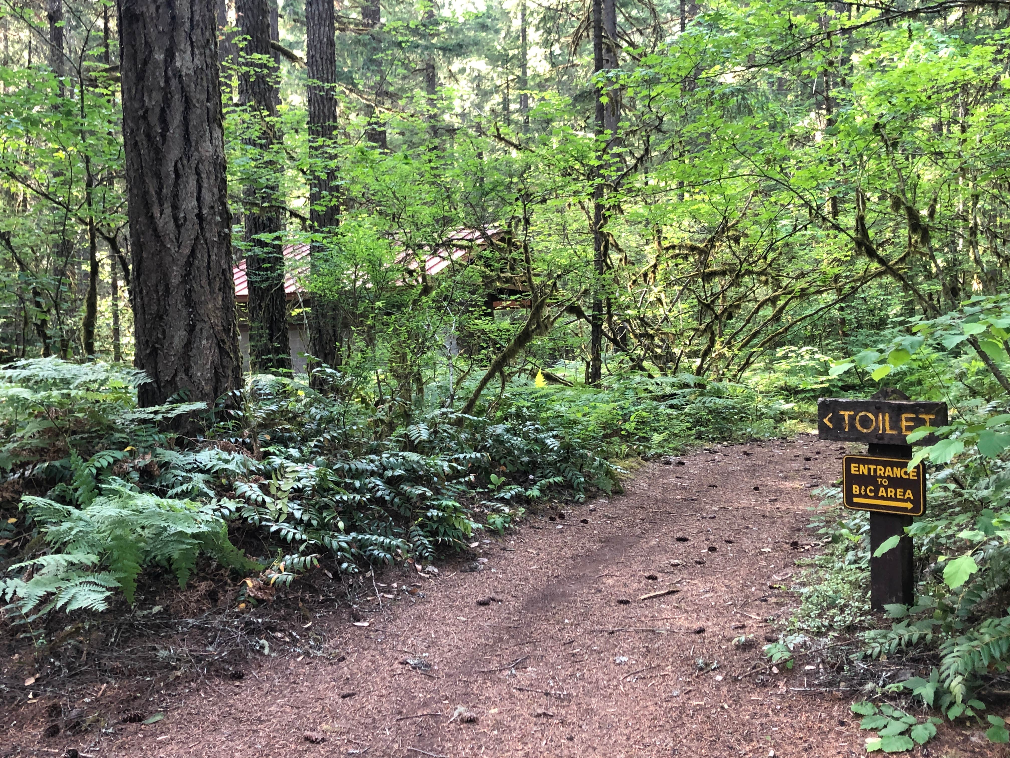 Camper-submitted photo at Swift Forest Camp near Cougar, WA