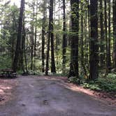 Review photo of Swift Forest Camp by Stephanie Z., June 21, 2019