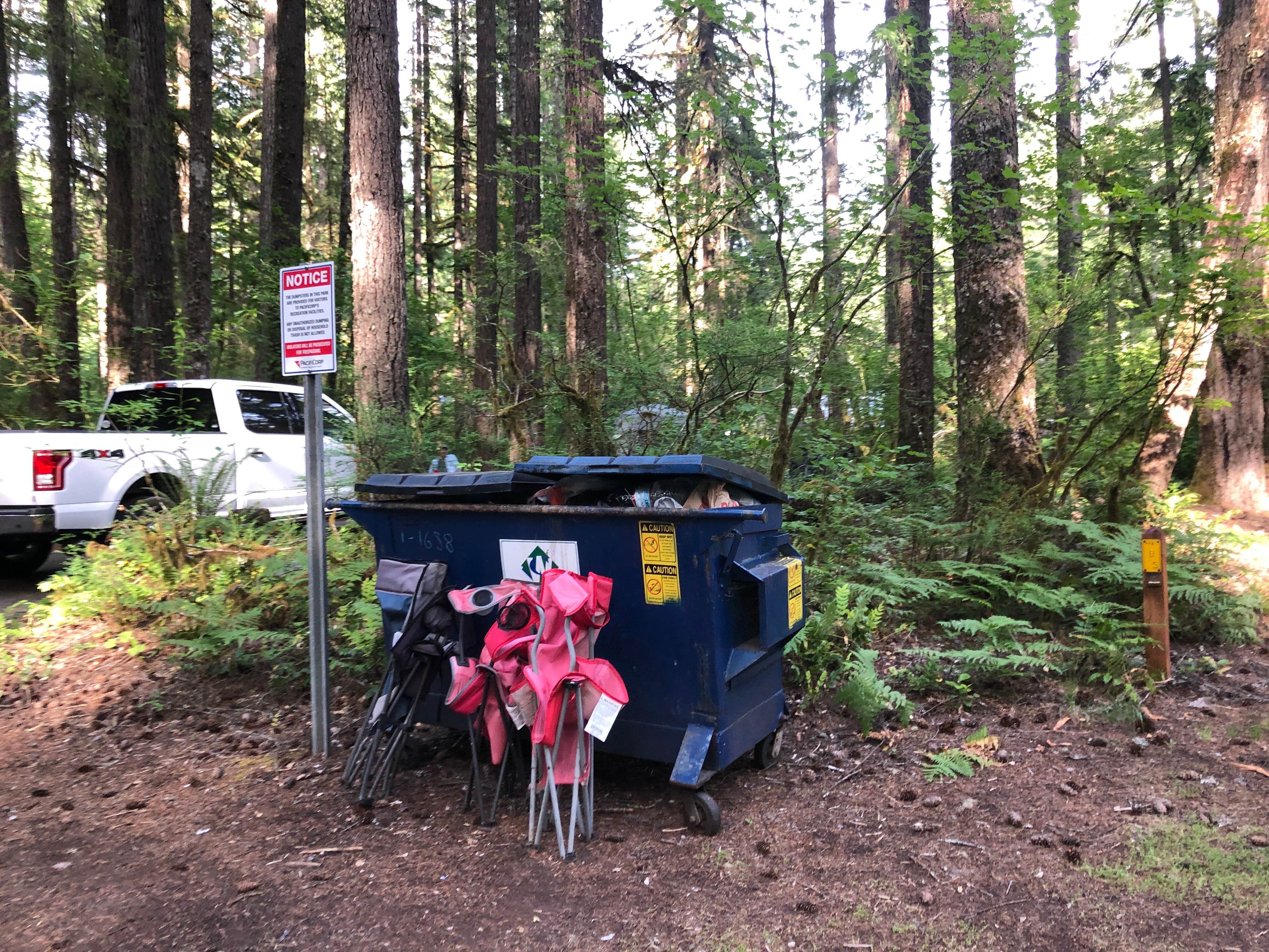 Stephanie Z.'s photo of rv camping at Swift Forest Camp near Gifford Pinchot National Forest