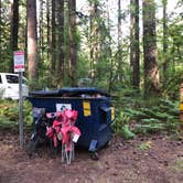 Review photo of Swift Forest Camp by Stephanie Z., June 21, 2019