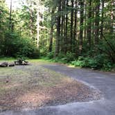 Review photo of Swift Forest Camp by Stephanie Z., June 21, 2019