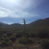 Review photo of Wildrose Campground — Death Valley National Park by Steve & Ashley  G., June 20, 2019
