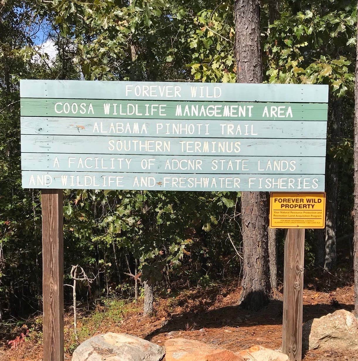 Camper-submitted photo at Weogufka State Forest Flagg Mtn near Hollins, AL