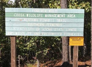 Weogufka State Forest Flagg Mtn