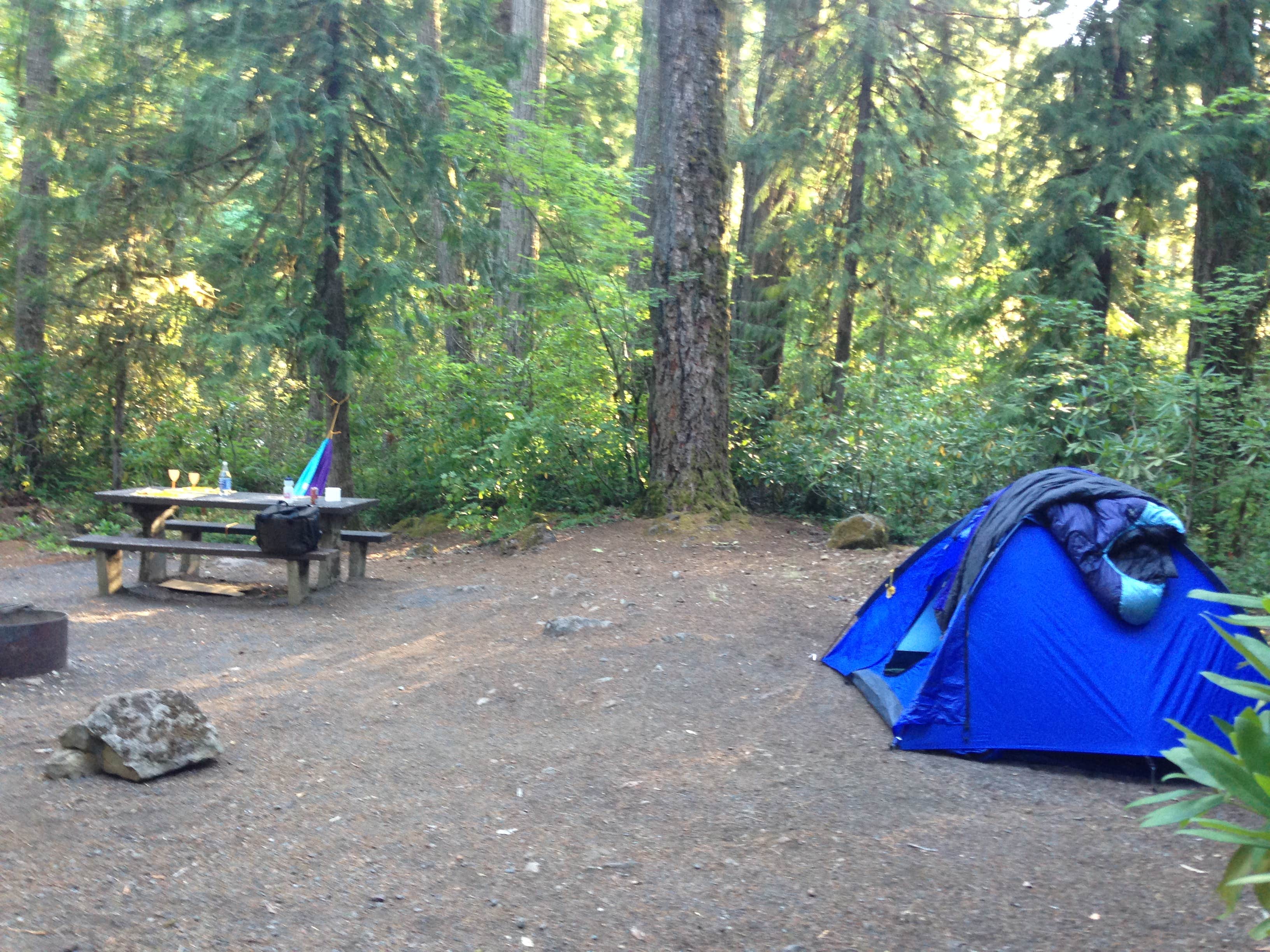 Stephanie Z.'s photo at Whispering Falls Campground near Detroit, OR