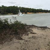 Review photo of Carolina Beach State Park Campground by Ellen W., June 21, 2019