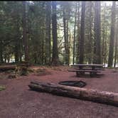 Review photo of Staircase Campground — Olympic National Park by Tyler S., June 21, 2019