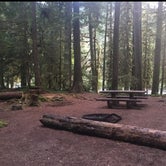 Review photo of Staircase Campground — Olympic National Park by Tyler S., June 21, 2019
