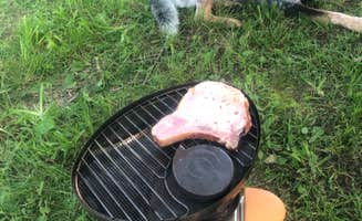 Shelly S.'s photo of camping with pets at Harmonie State Park Campground near McLeansboro, IL