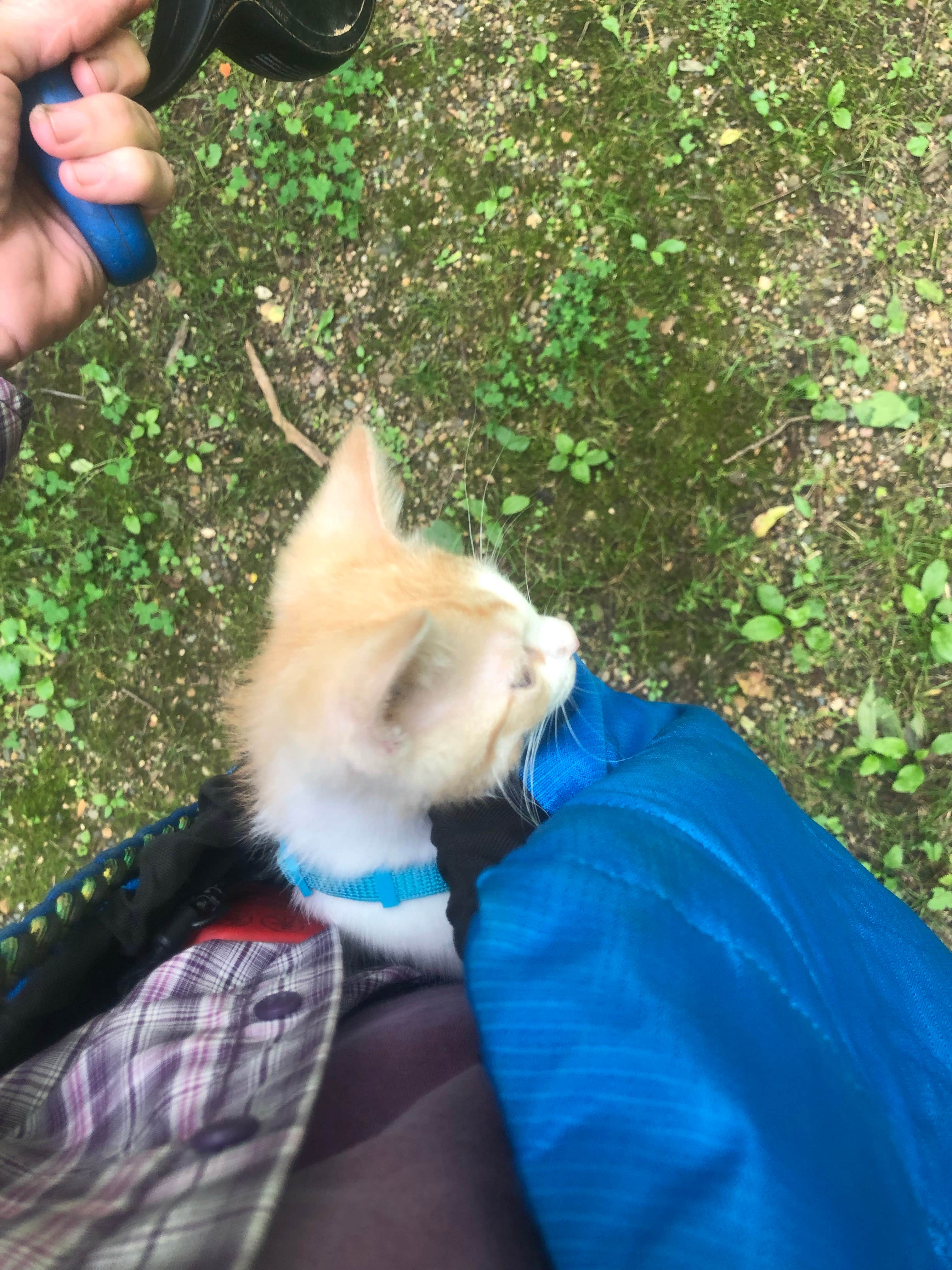 Harmonie State Park Campground