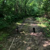 Review photo of Harmonie State Park Campground by Shelly S., June 21, 2019