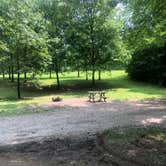 Review photo of Harmonie State Park Campground by Shelly S., June 21, 2019